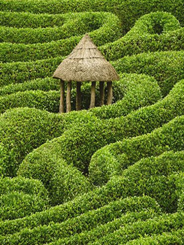 Maze-Garden